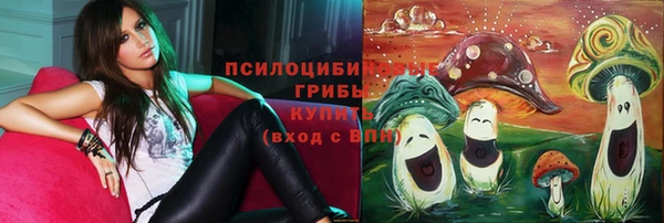 соль ск Балабаново