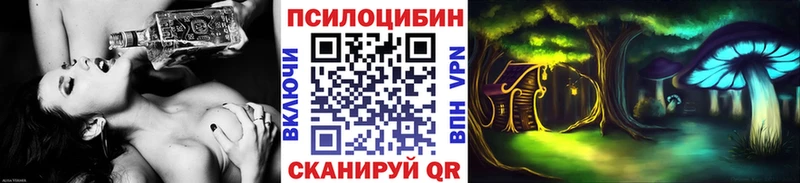 Псилоцибиновые грибы Cubensis Ликино-Дулёво